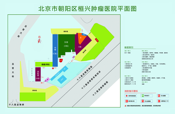 骚操肥屄北京市朝阳区桓兴肿瘤医院平面图